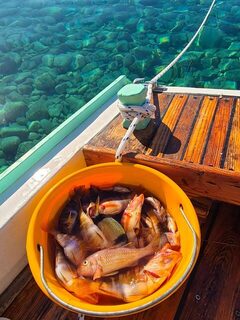 Морской улов с лодки у Вело-Мекичевицы на хорватском Хваре