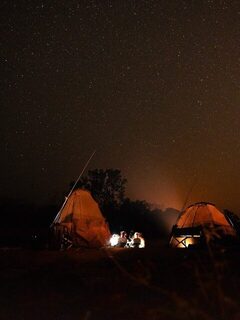 Первая неделя на Фаро: нильский окунь и тигровая рыба у Gassa Camp