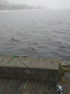 С удочкой у воды в Архангельске: береговая рыбалка в удовольствие