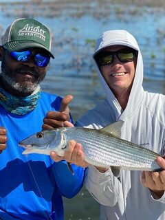 Альбула у мангров Гранд-Багамы: H2O Bonefishing и рывки до бэкинга