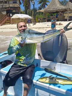 За махи-махи в карибские воды у Плайя-дель-Кармен в сезон