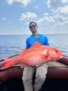 Руби-снэппер из Хуваду: улов глубоководного джиггинга