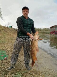 Сазан 13,5 кг из озера Киммерия отправился обратно в воду