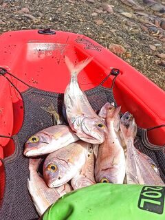 С каяком на морскую рыбалку у Айвалыка