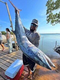 Kingfish примерно на 80 фунтов у Гладдена в Белизе