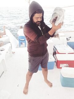Групер на лодочном выходе у Сафаги, в Красном море