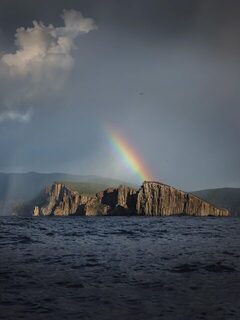 Несколько дней съемок за южным синим тунцом в Тасмановом море