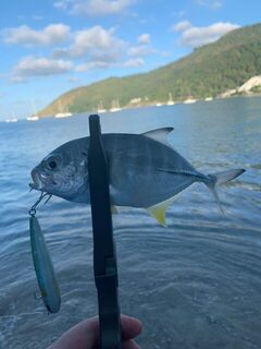 Пхукет: металджиг, Torpedo scad и King mackerel на дневных выходах