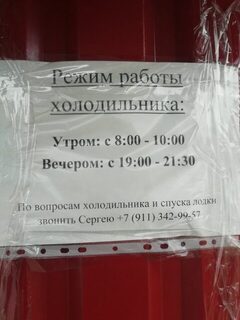 Платная заморозка на портовых складах