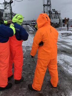 Трое в оранжевом у заснеженной гавани