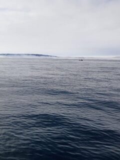 Два дня выхода в море - и пришлось уехать