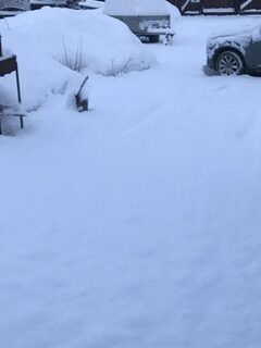 Снова подсыпало снега, предупреждаю собирающихся