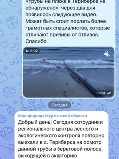 Ответ Минприроды на обращение о трубе