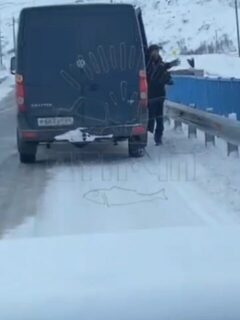 Не бросайте рыбьи отходы с моста через Териберку