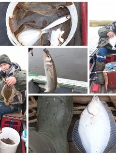 Сафроновская губа, Архангельская область: рыбалка с сыном, камбала и крупный корюх