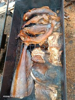 Камбала, зубатка, треска. Беломорский выезд с товарищем