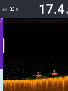 Поплавковый Deeper2 неплохо видит треску