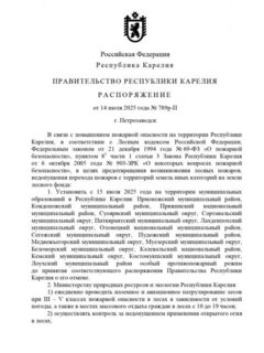 Самолет над морем и Лоухский район в июле 2025 года