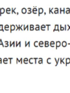 О водяном уже и точности сведений