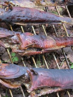 Чупа: рыбалка на Белом море с треской до 2 кг и мелкой камбалой