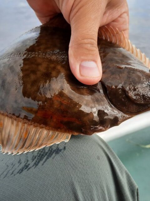Успеть побыть на теплом берегу Белого моря