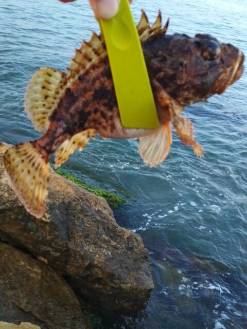 Крайняя вылазка не радовала совсем: Чёрное море, погодка менялась, а рыба бастовала, как только умела