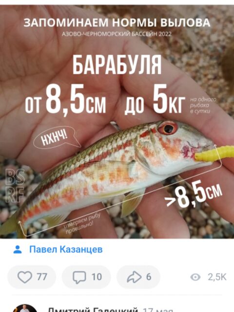 Что беру в отпуск для ловли с морских волнорезов и причалов