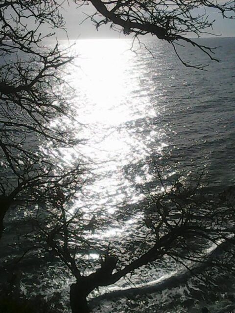Весеннее море оживает под скалой, но для открытой воды еще рано