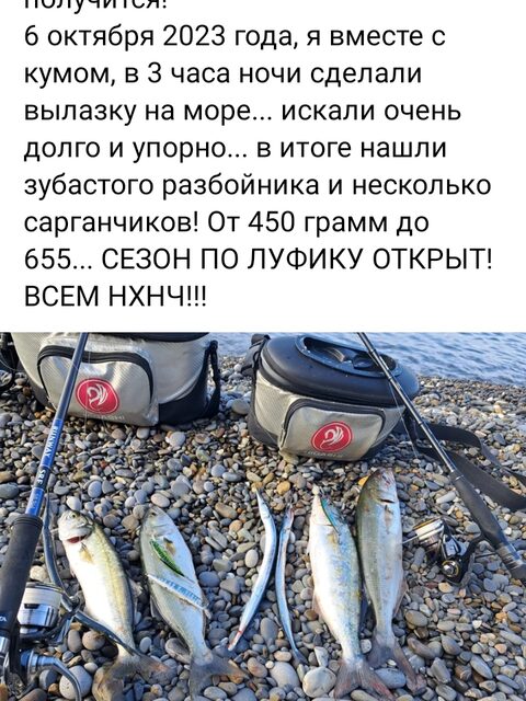 У Бориса Виноградова из Сочи пара сарганов и луфари