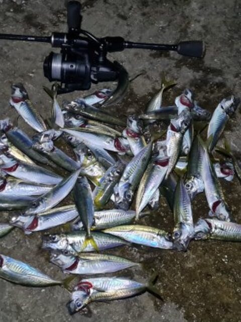 Ялта, Чёрное море: ночной выход с берега в метровые волны, грузик 0,4 г и спиннинг до 1 г
