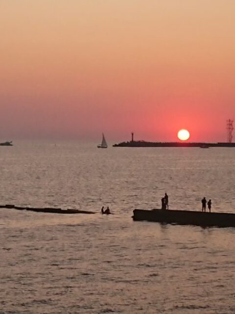 Чёрное море утром: ловля саргана до ветра с разной наживкой и проводкой