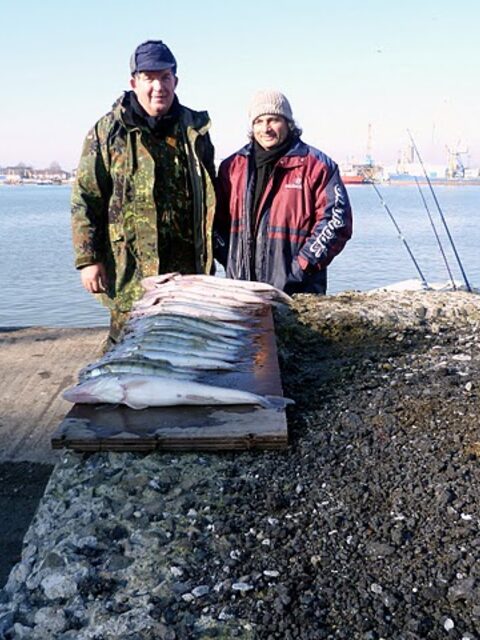 Бургас, Западный порт: рыбалка 30.12.2010 с 06.00 до полудня, первый лёд и 19 судаков