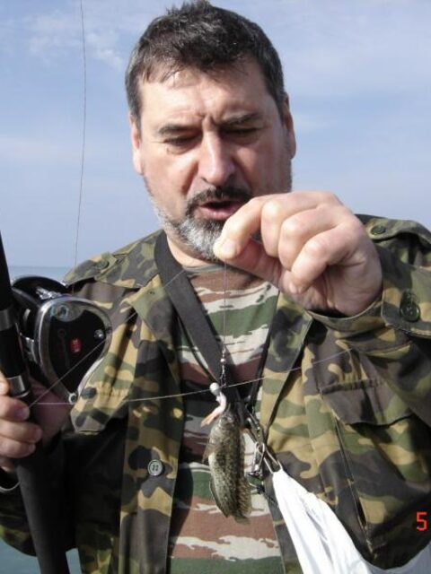 Россия, Большой Сочи: морская рыбалка с причала и ставрида на самодур в октябре-ноябре