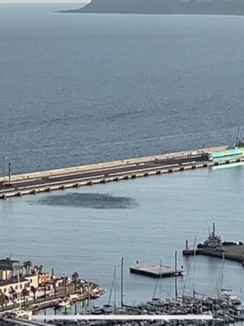 Картахена, Испания: морская рыбалка ультралайтом в порту и небольшая скорпена