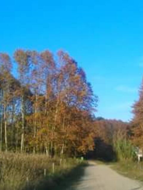 Испания, Каталуния: осенняя рыбалка, прозрачное небо, золотые листья и планы на новый сезон