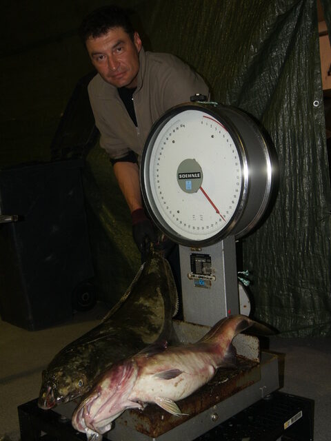 Север Норвегии: морская рыбалка с лодки на Сейланде за три дня, палтус и треска до 7 кг