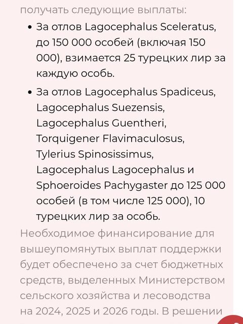 Перевод статьи Esenyel Partners о турецком решении № 8246
