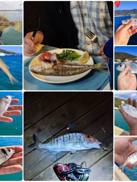 Торба, Турция: морская рыбалка с пирса, ночной лаврак и кефаль у берега