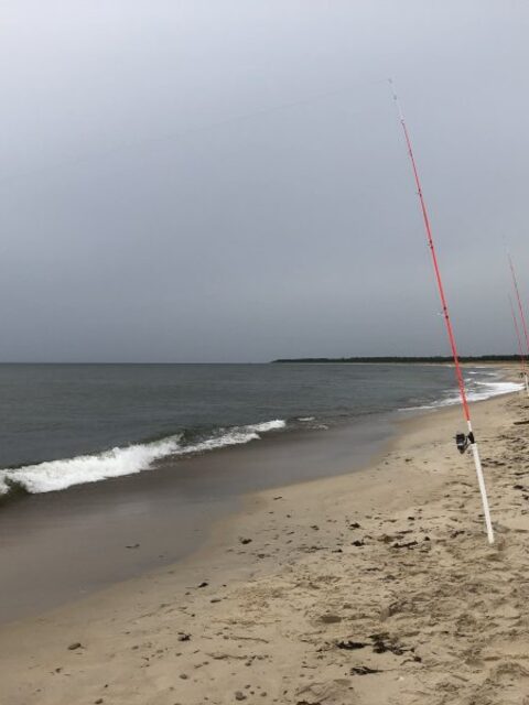 East Shark Warrior остаются в строю: катушки 9000 и триггеры для пляжной камбалы