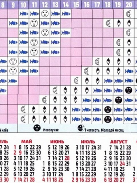 Есть ли связь между луной и береговым клевом рыбы или кальмара