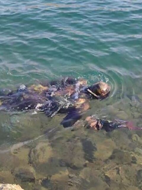 Турция: морская рыбалка с забросами приманок на глубинах у берега Мармариса