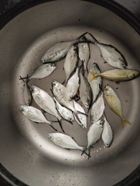 Морская рыбалка у Анталийского побережья Турции: трали клюнули на силикон