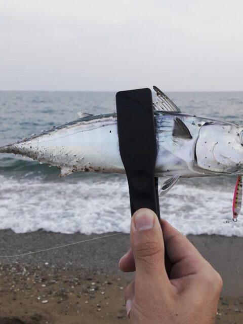 Турция, Анталийское побережье: час морской ловли на закате и рыба из скумбриевых