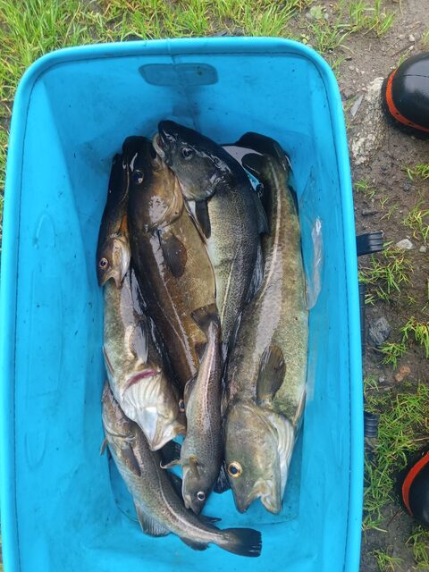 Белое море после шторма: пара часов морской рыбалки и четыре пойманные рыбы