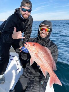В Дестине с All Out Fishing попробовали ловить новый для нас вид
