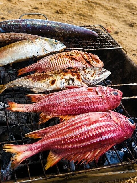 Частный день Фукуока для 2-6 гостей: рыбалка, риф и пляжный BBQ