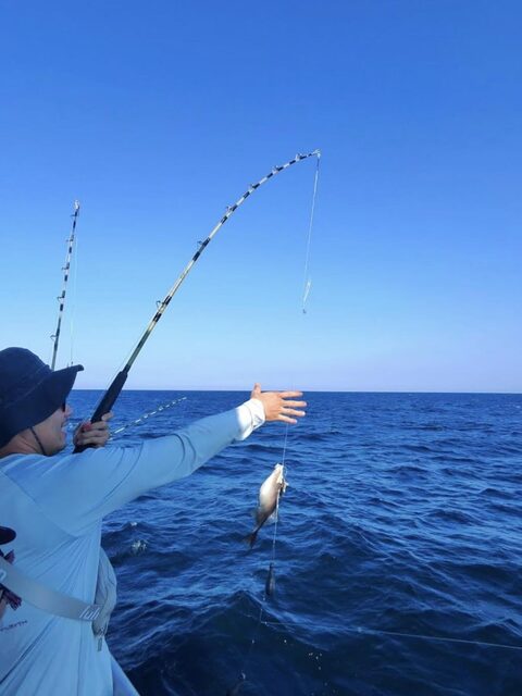 Небольшой морской улов у Дестина: рыба уже поднята над водой