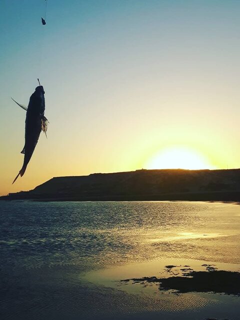 Небольшая рыба на крючке у Дахлы, в низком солнце над водой
