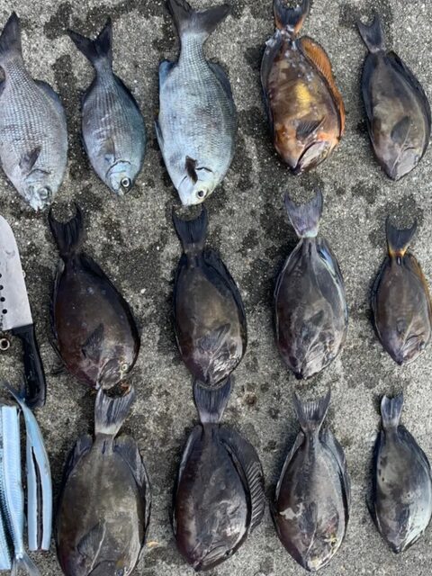 Улов с Миякодзимы: морская рыбалка на поплавочную оснастку