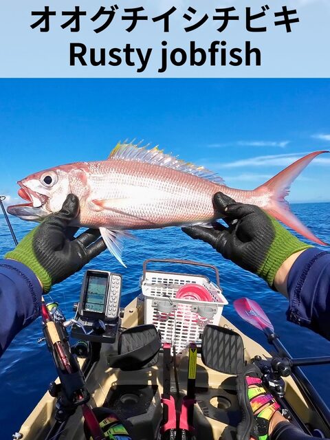 Rusty jobfish с каяка на Окинаве: сработал TG Bait 60 г